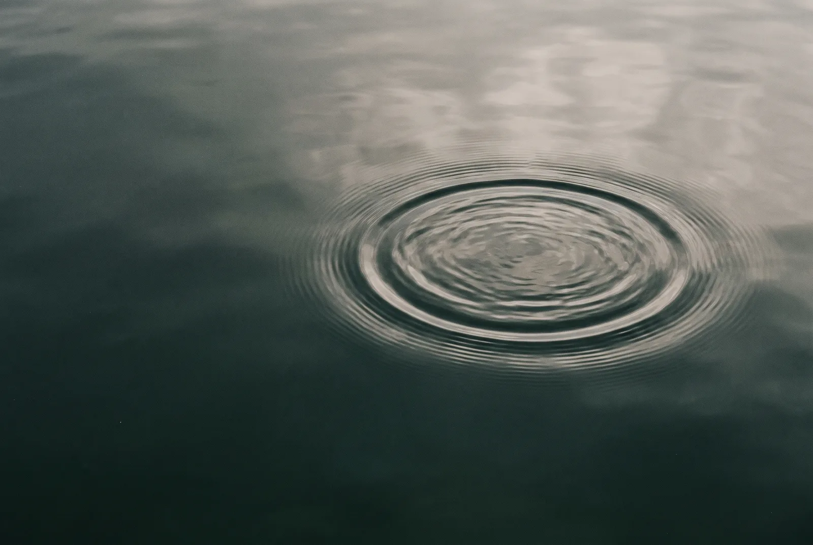 Surface du Léman, une onde qui s'ouvre sur l'eau calme